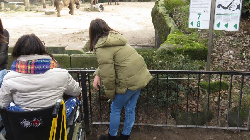 Wunschfahrt zum Tierpark Hagenbeck